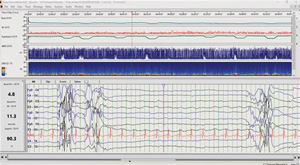 neuroworks_software.jpg